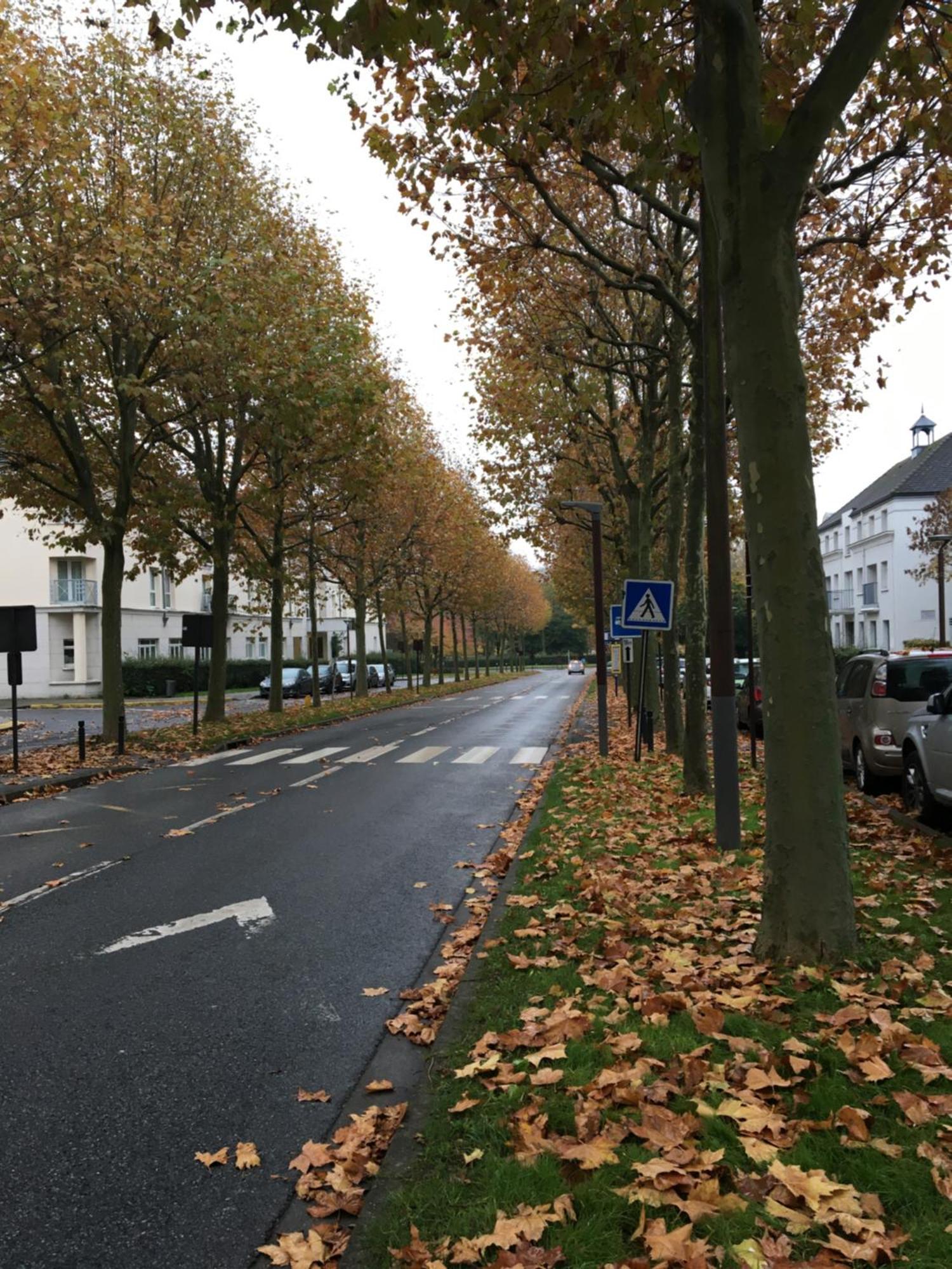 Garden Apartment F2 - Paris Disneyland Bussy-Saint-Georges Esterno foto
